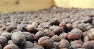 Espresso Çekirdekleri ile Kahve Çekirdeklerinin Farkı Nedir? Ethiopia Yirgacheffe Gedeb - Ethiopia Yirgacheffe Gedeb Özellikleri