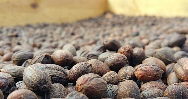 12 Espresso Çekirdekleri ile Kahve Çekirdeklerinin Farkı Nedir? Ethiopia Yirgacheffe Gedeb - Ethiopia Yirgacheffe Gedeb Özellikleri - Kahve Çekirdeklerini Saklama - Kahve Çekirdeklerinin Kavurma Seviyeleri ve Lezzet Profilleri - Kahve Öğütme Boyutları