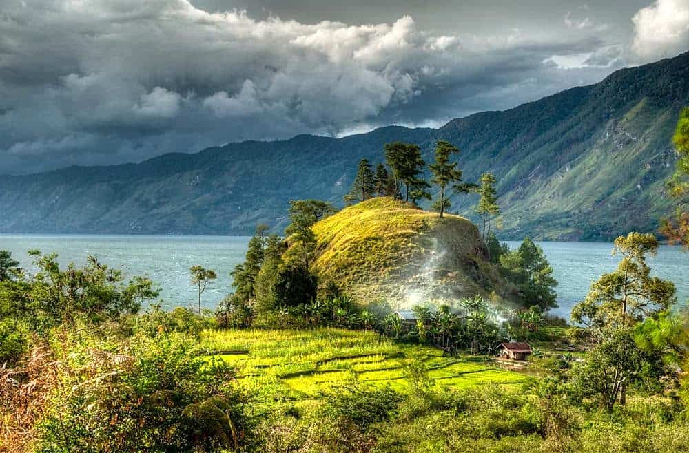 Endonezya Sumatra Gayo özellikleri