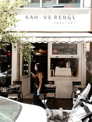 1 kahverengi hakkımızda