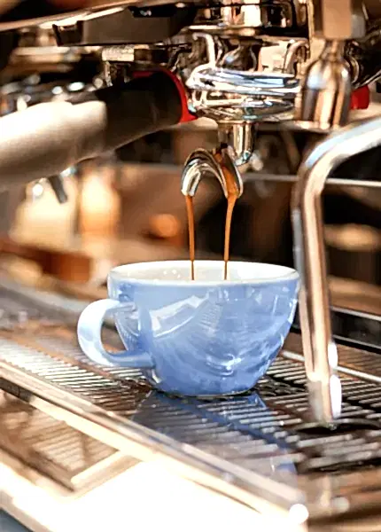 2 kahverengi roastery